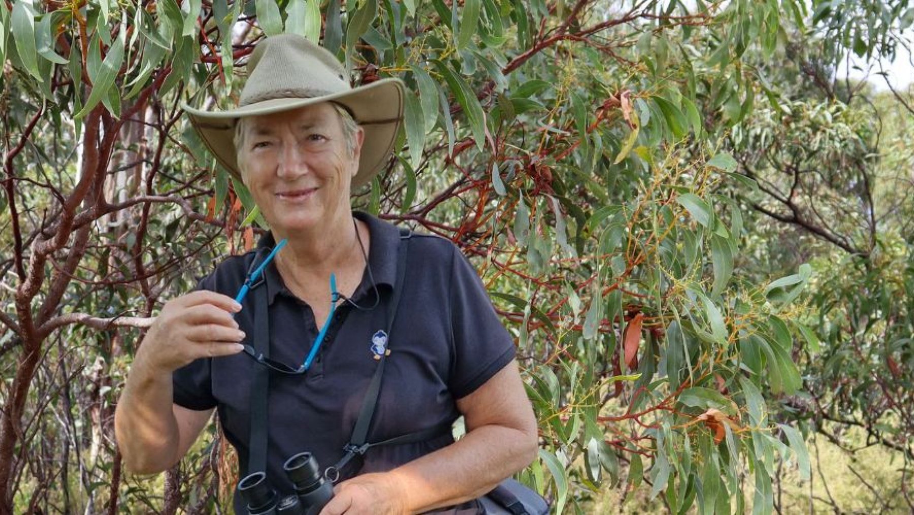 Christine Heiser headers image 2